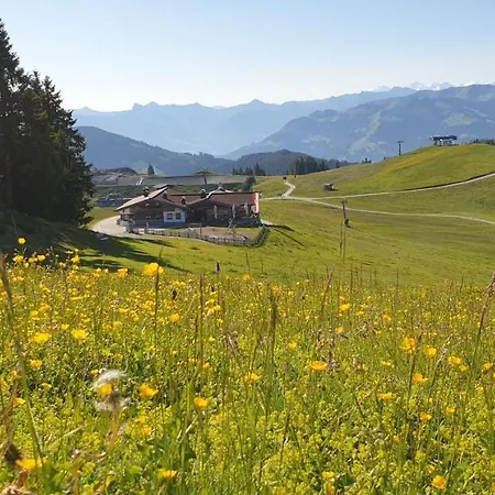 Ferienwohnung Sappl Scheffau am Wilden Kaiser Exterior foto