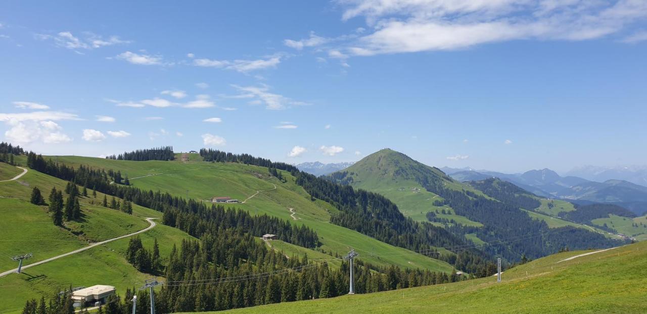 Apartment Sappl Scheffau am Wilden Kaiser