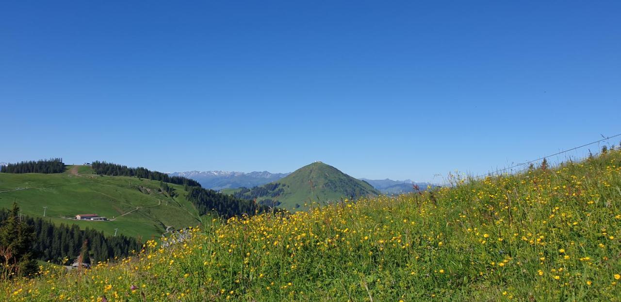Sappl * Scheffau am Wilden Kaiser