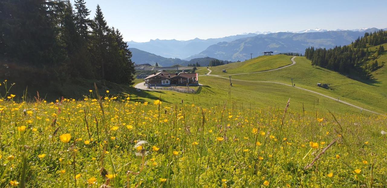 Sappl Scheffau am Wilden Kaiser