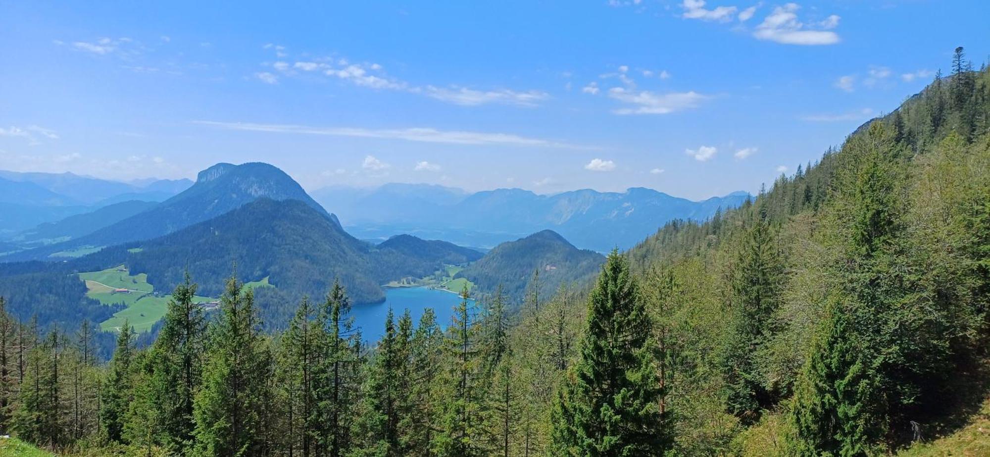 Sappl * Scheffau am Wilden Kaiser