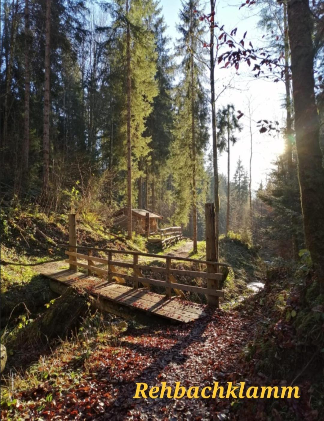 Sappl Apartamento Scheffau am Wilden Kaiser